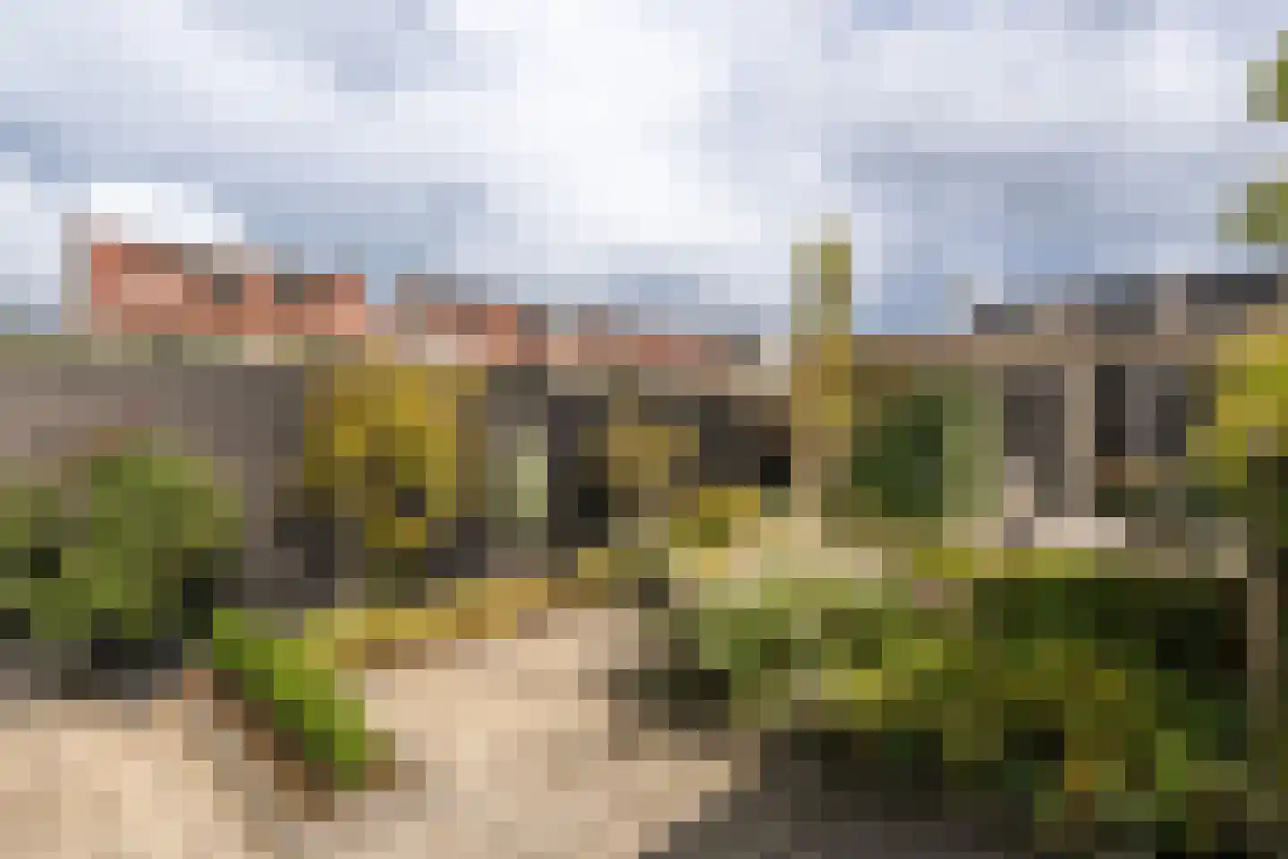 Buitenring 50 Middelharnis thumbnail 27
