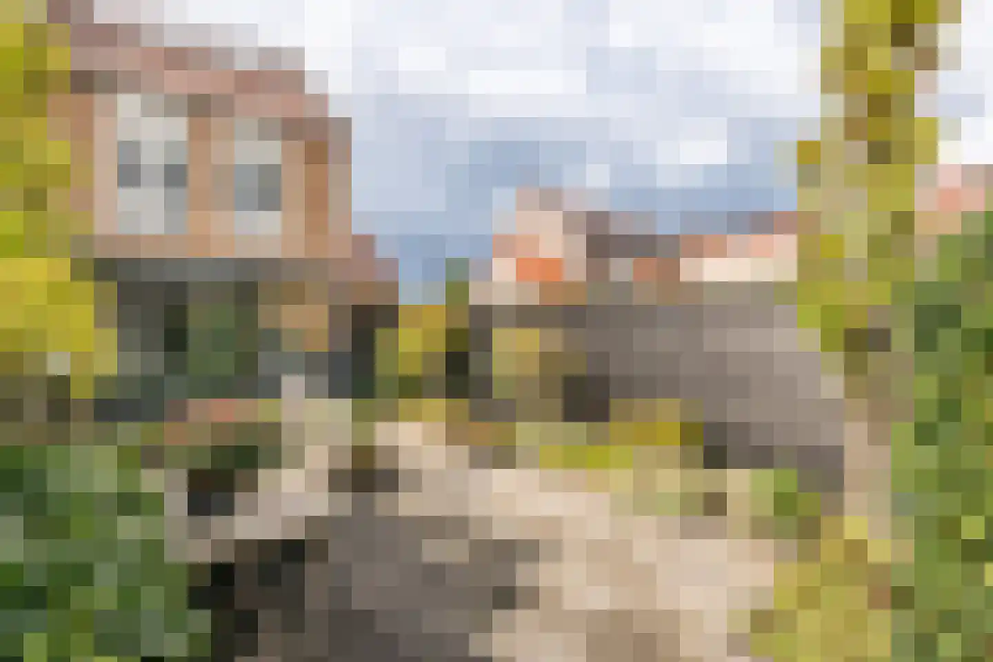 Buitenring 50 Middelharnis thumbnail 29