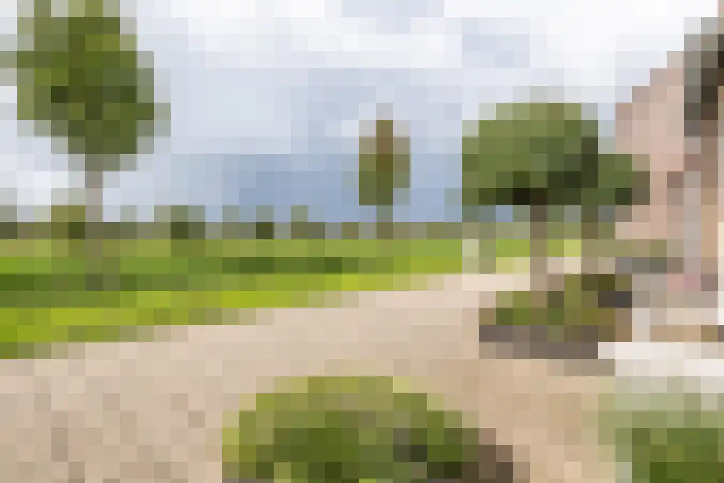 Buitenring 50 Middelharnis thumbnail 31