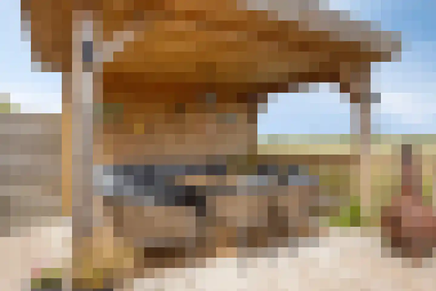 Buitenroede 11 Moerkapelle thumbnail 68