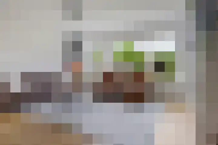 Buitenroede 11 Smilde thumbnail 12