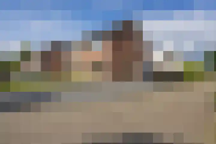 Buitenroede 11 Smilde thumbnail 48