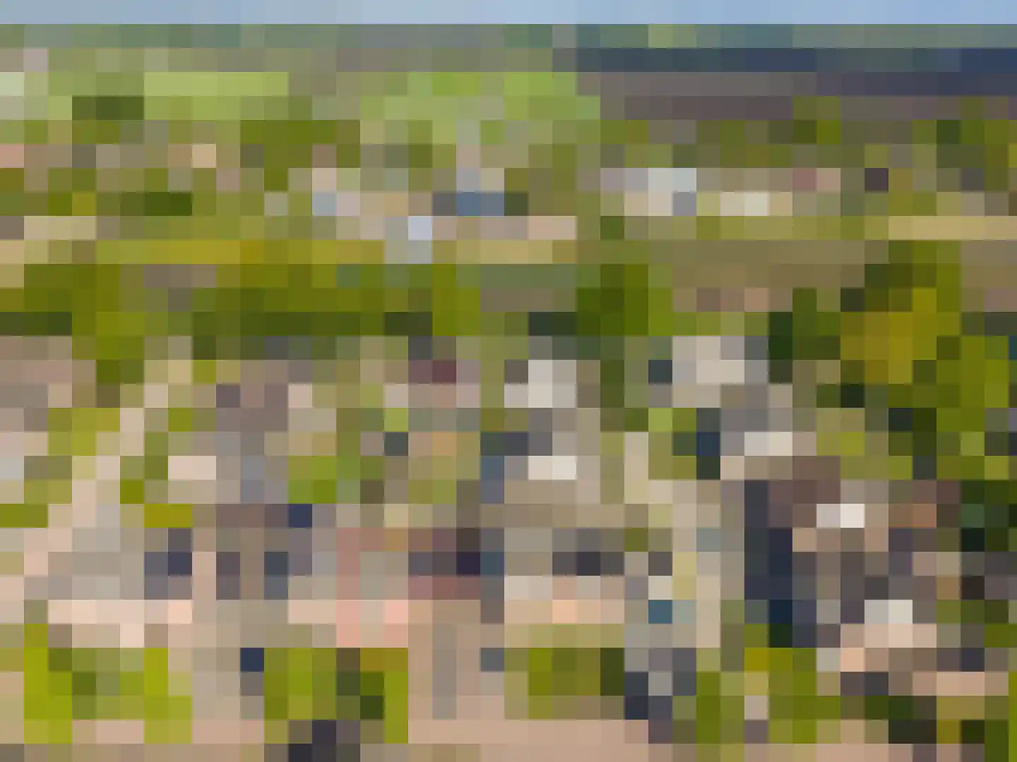 Buitenroede 7 Smilde thumbnail 40