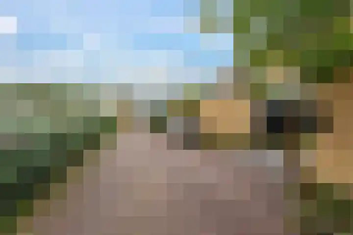 Buitenrust 40 Dordrecht thumbnail 6