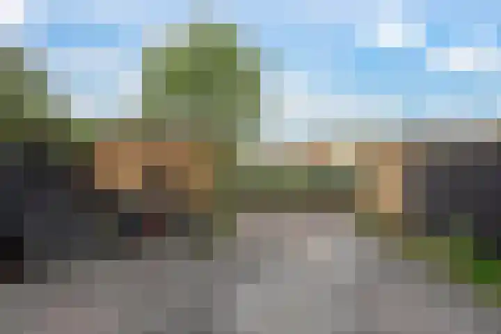 Buitenrust 40 Dordrecht thumbnail 9