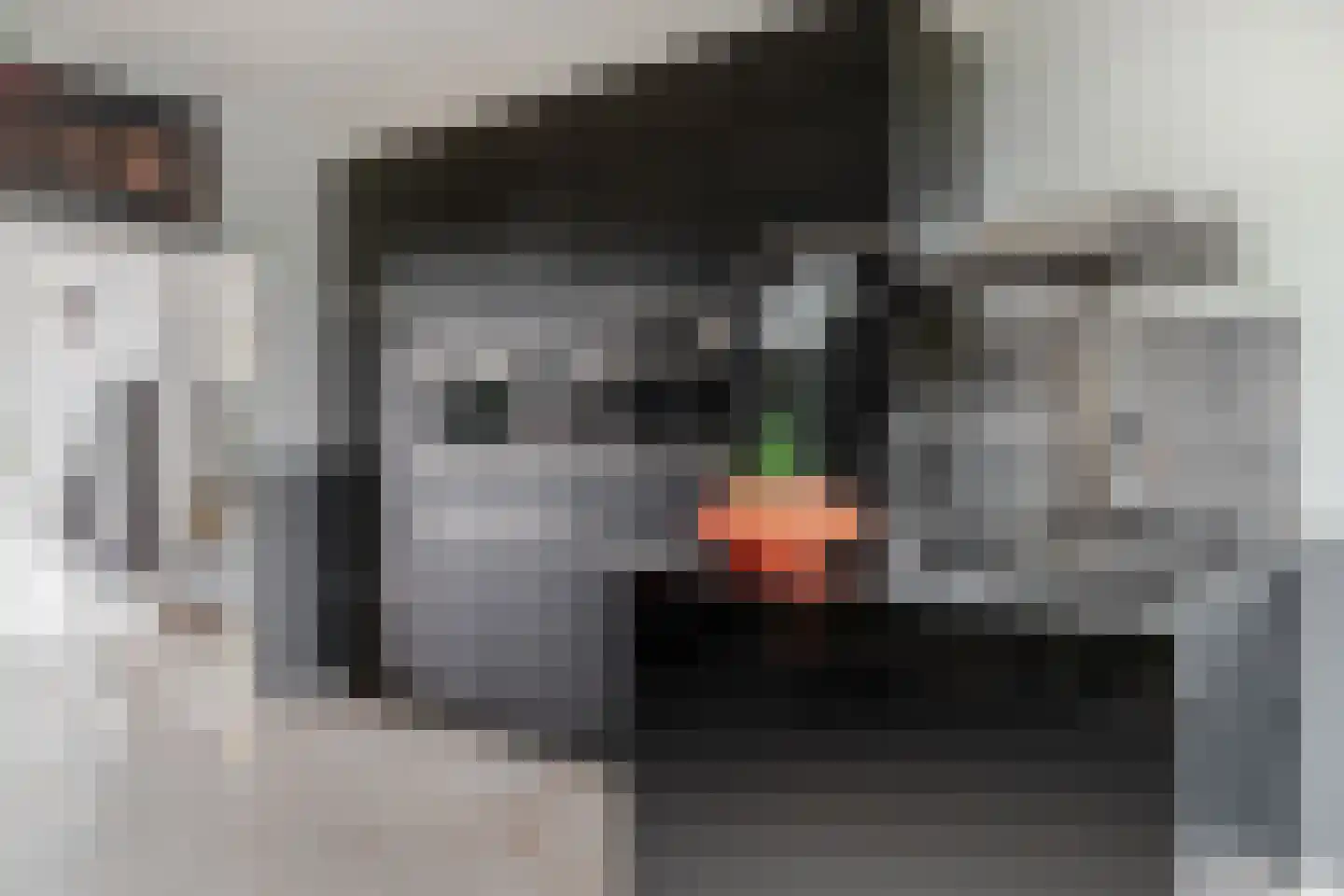 Buitenrustlaan 13 Haarlem thumbnail 18