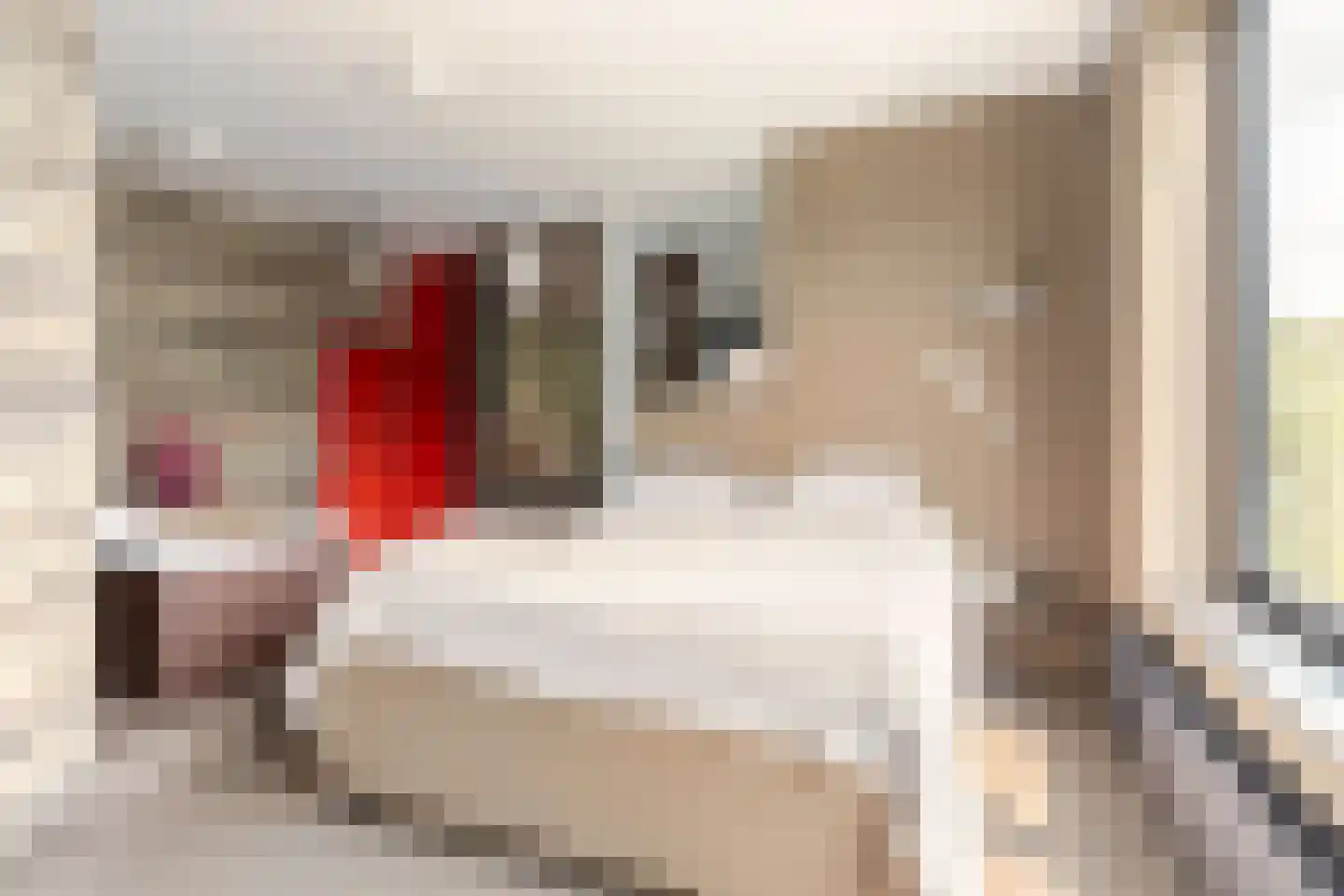 Buitenrustlaan 13 Haarlem thumbnail 25