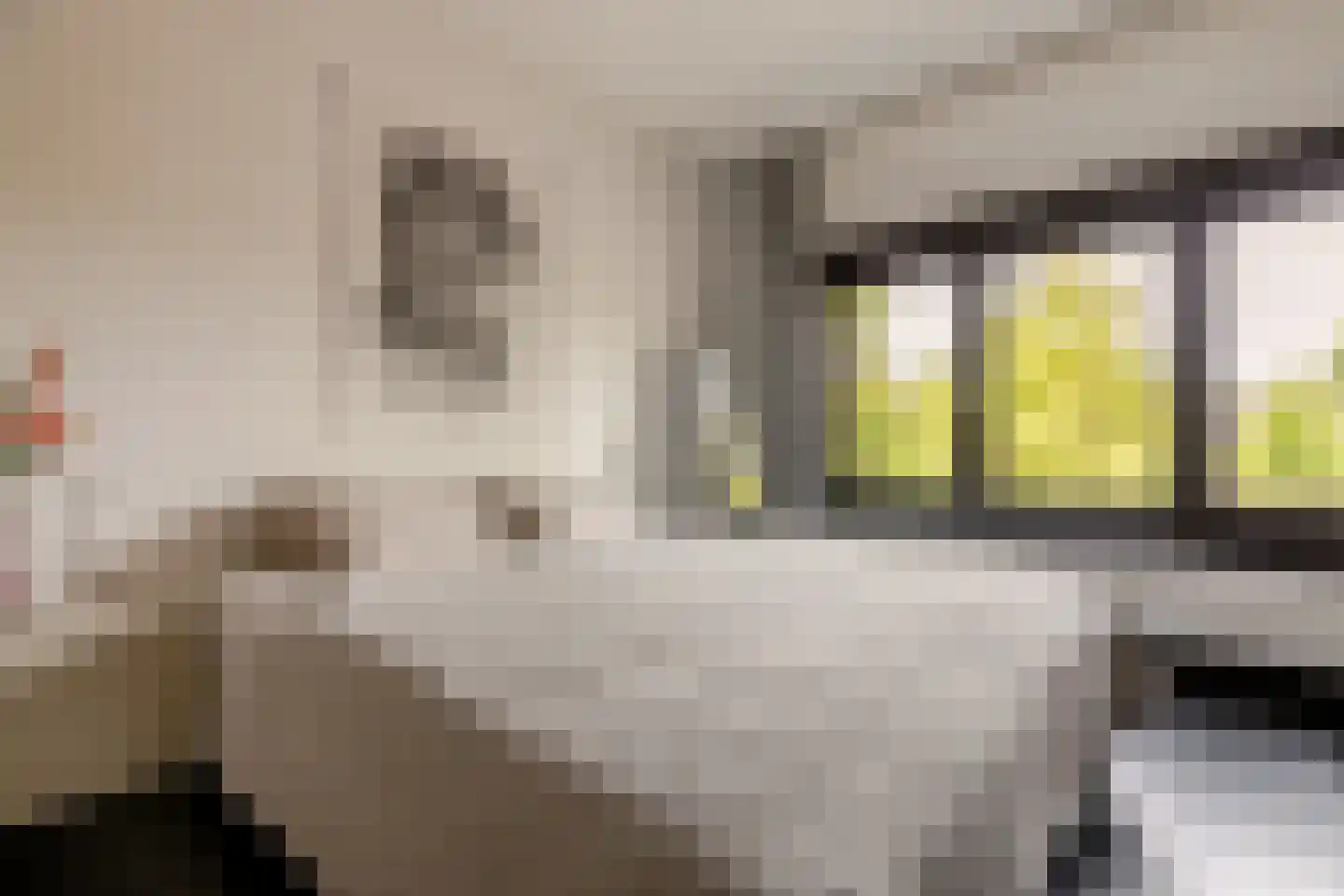 Buitenrustlaan 13 Haarlem thumbnail 31