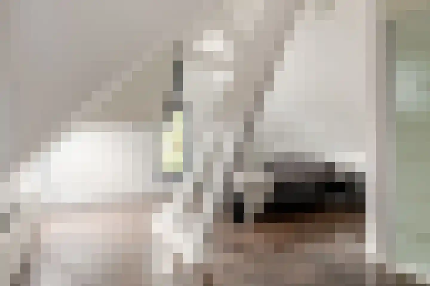 Buitenrustlaan 13 Haarlem thumbnail 37