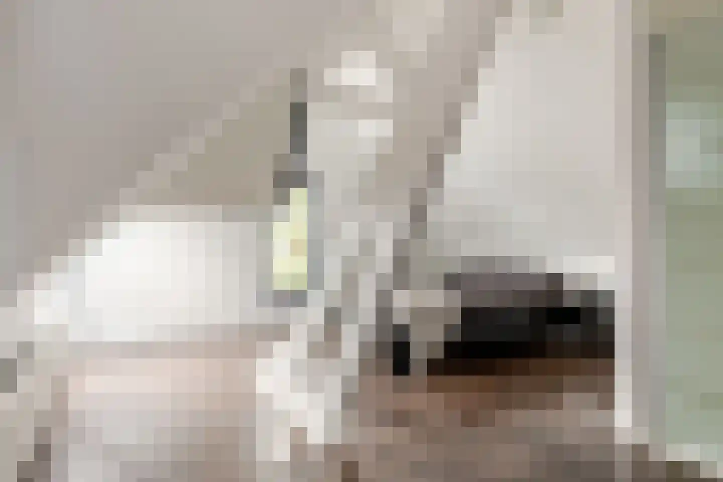 Buitenrustlaan 13 Haarlem thumbnail 39