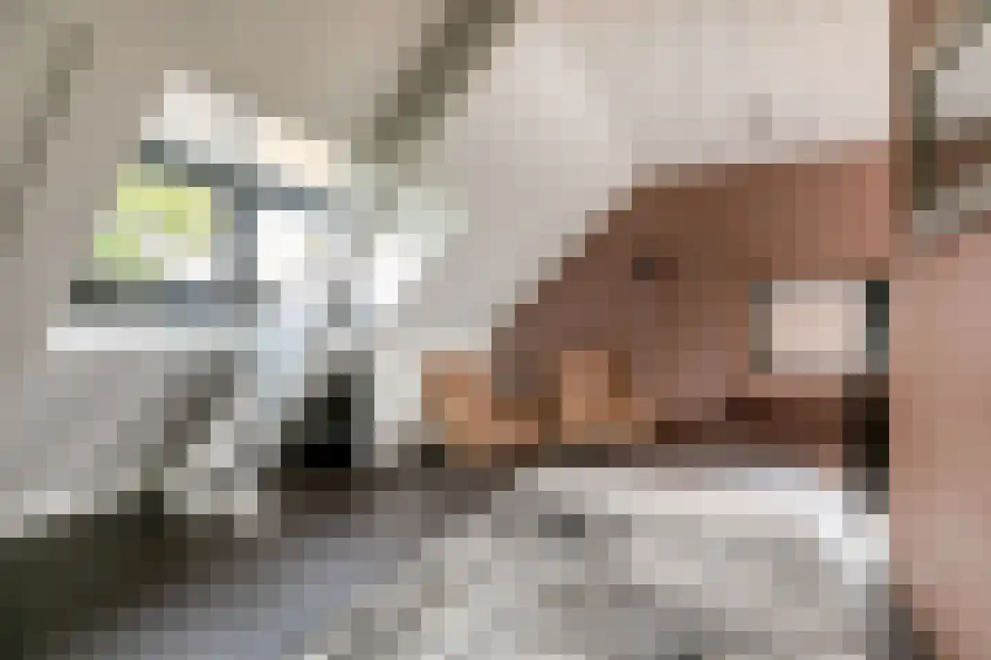 Buitenrustlaan 13 Haarlem thumbnail 41