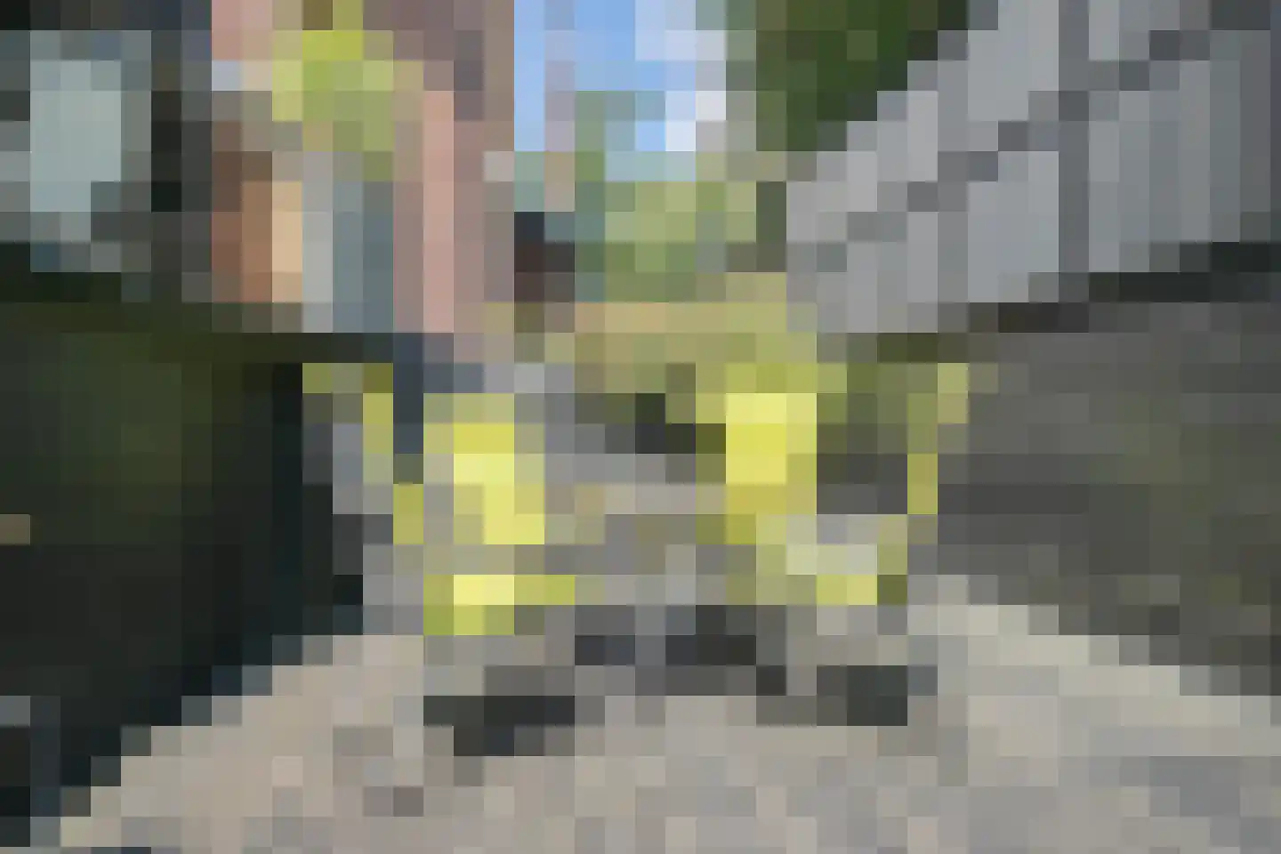 Buitenrustlaan 13 Haarlem thumbnail 49