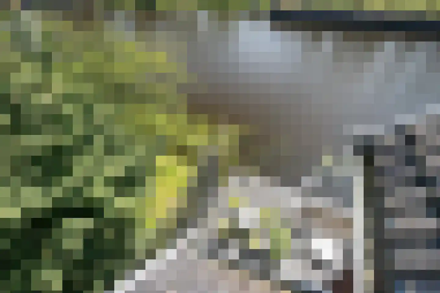 Buitenrustlaan 13 Haarlem thumbnail 55