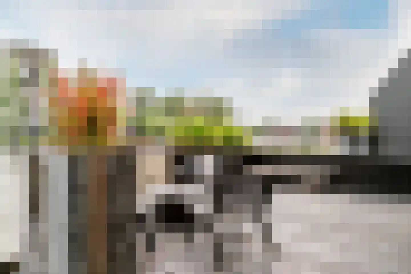 Buitenrustlaan 13 Haarlem thumbnail 56