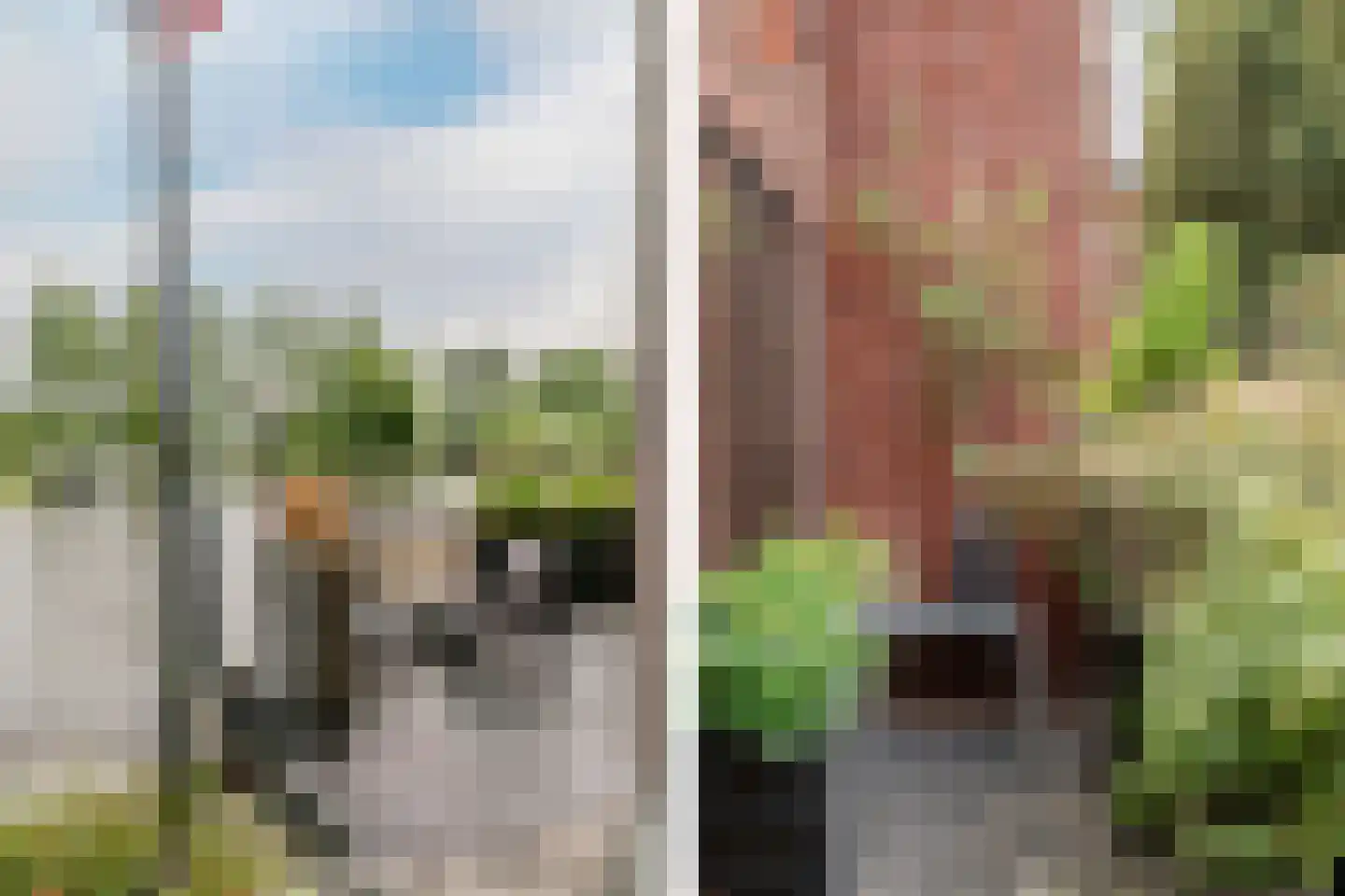 Buitenrustlaan 13 Haarlem thumbnail 59