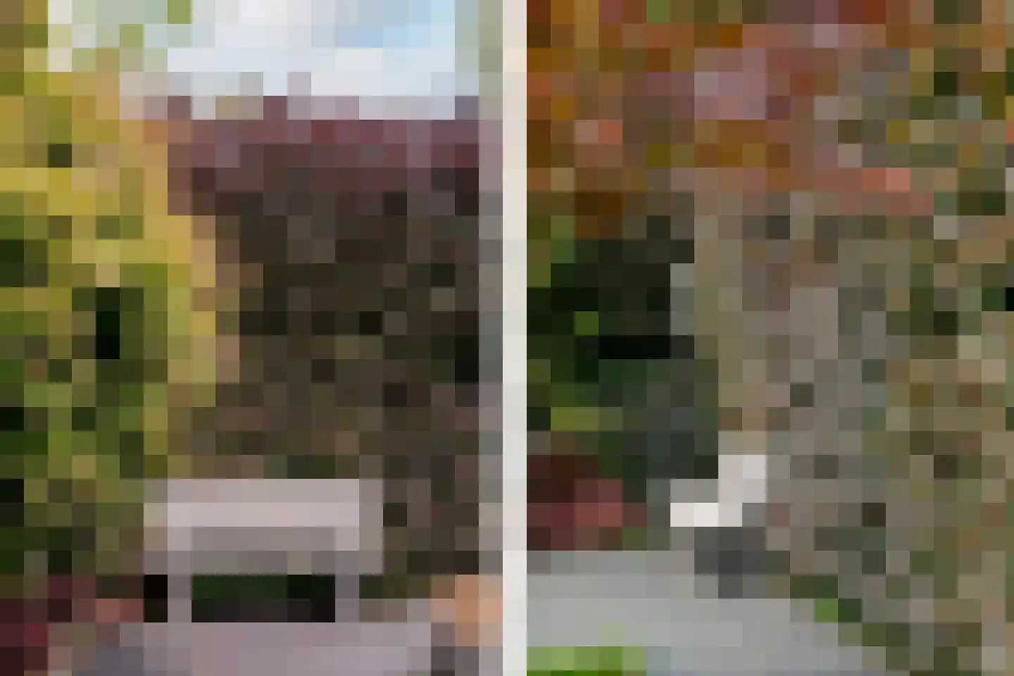 Buitenrustlaan 13 Haarlem thumbnail 63