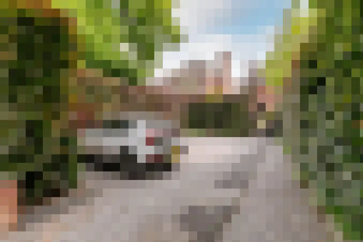 Buitenrustlaan 13 Haarlem thumbnail 64