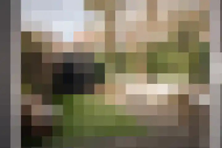 Buitenrustlaan 4 Haarlem thumbnail 13