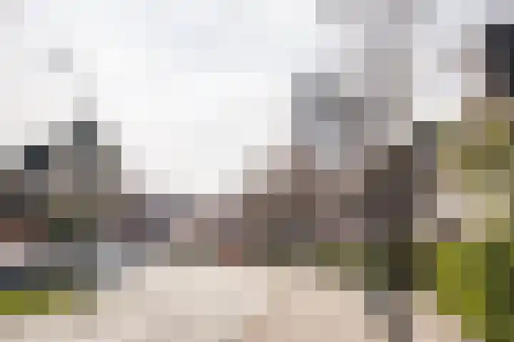 Buitenrustlaan 4 Haarlem thumbnail 47