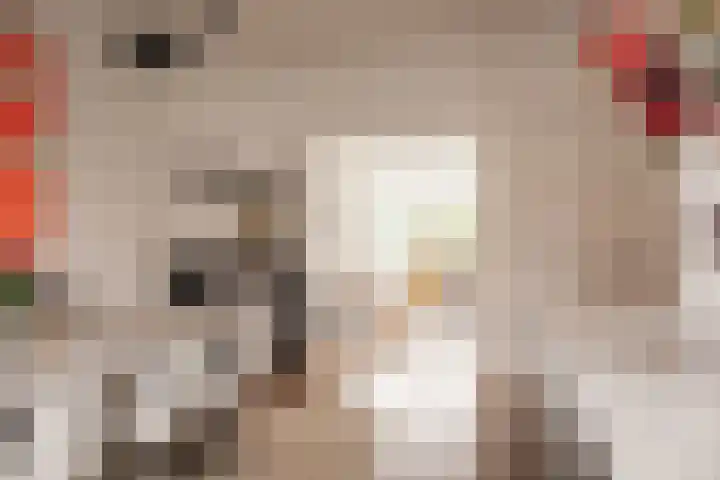 Buitenrustlaan 4 Haarlem thumbnail 5