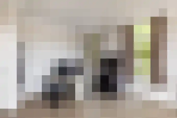 Buitenruststraat 2 Leiden thumbnail 25