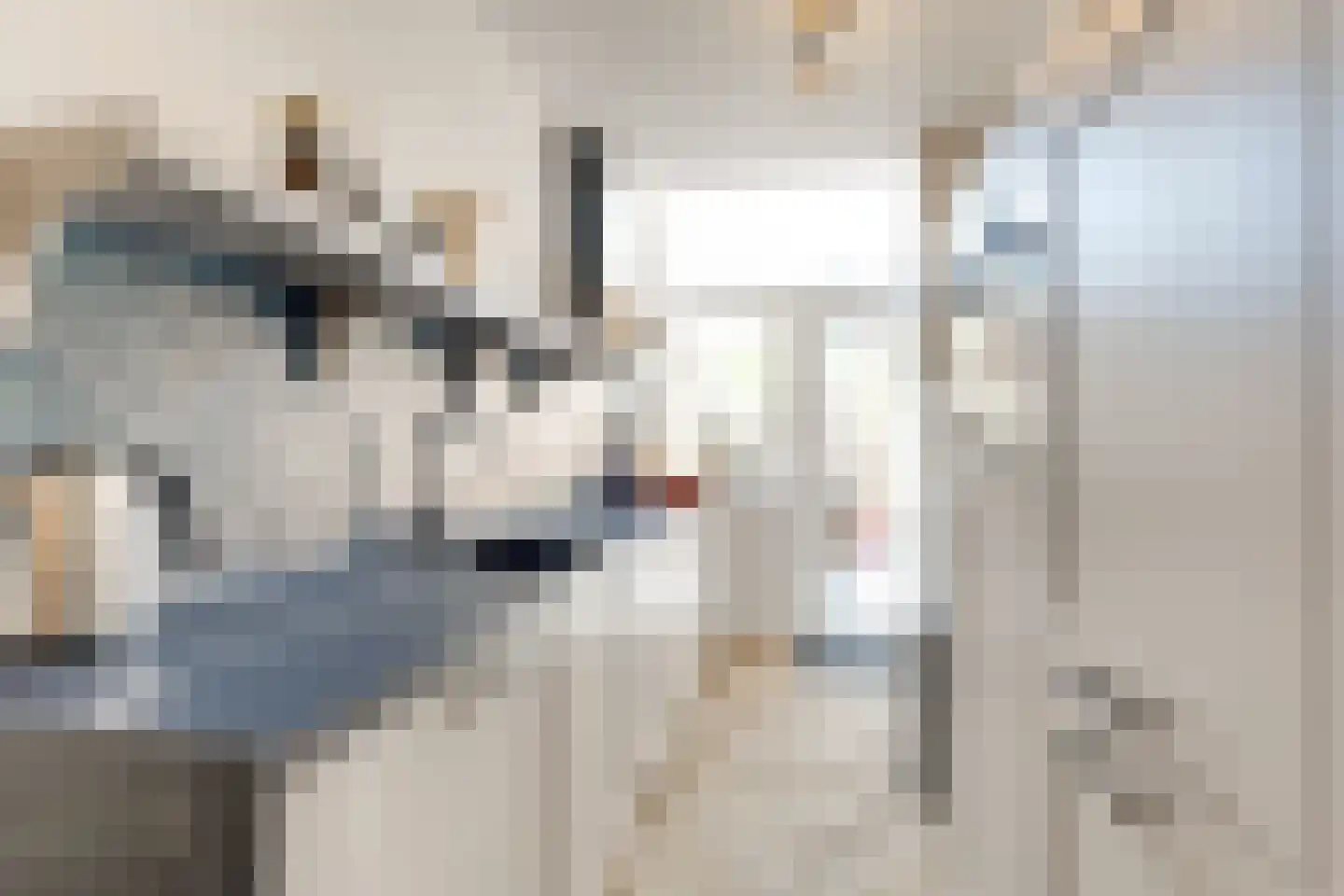 Buitenruststraat 4 Leiden thumbnail 10