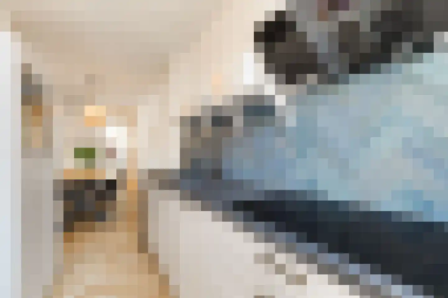 Buitenruststraat 4 Leiden thumbnail 12