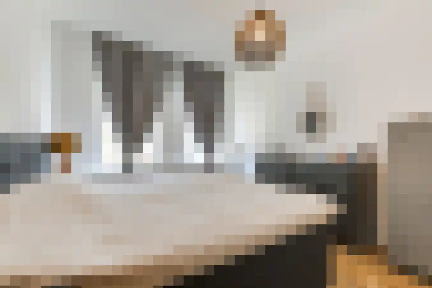 Buitenruststraat 4 Leiden thumbnail 18