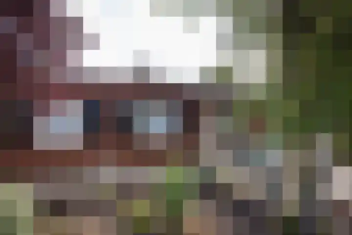 Buitenschans 12 Groenlo thumbnail 20