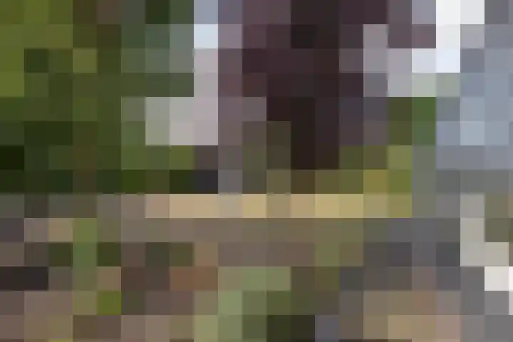 Buitenschans 12 Groenlo thumbnail 27