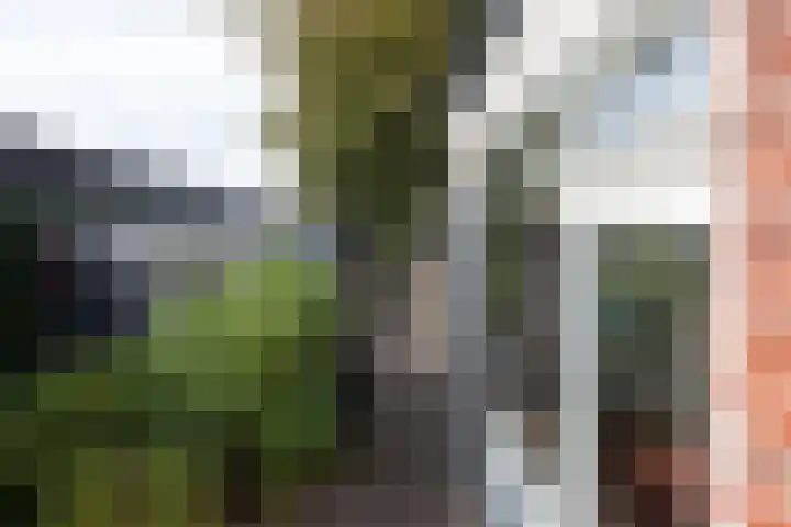 Buitenschans 12 Groenlo thumbnail 30