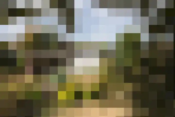 Buitenschans 12 Groenlo thumbnail 38