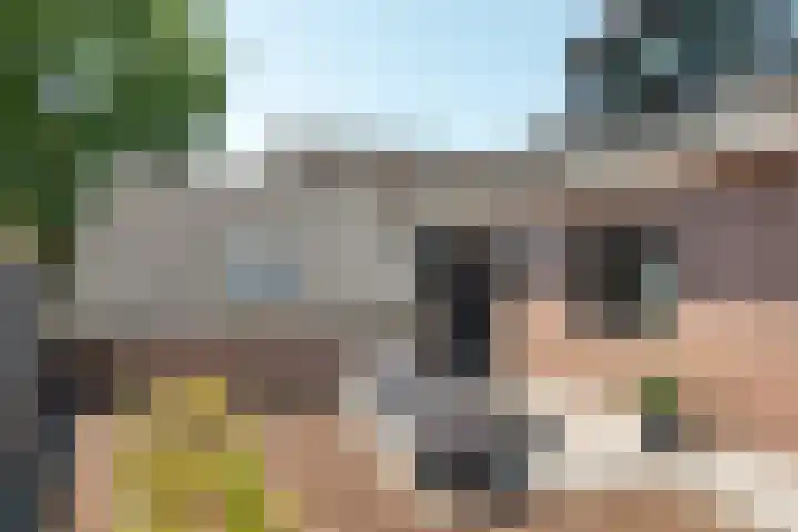 Buitensingel 1 Oldehove thumbnail 37