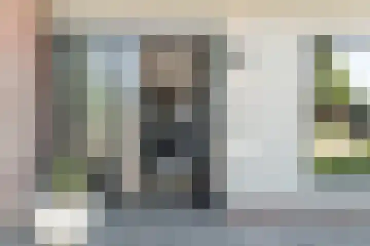 Buitensingel 1 Oldehove thumbnail 8