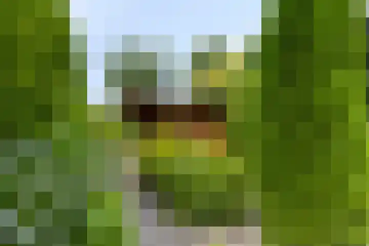 Buitensingel 1 Sappemeer thumbnail 30