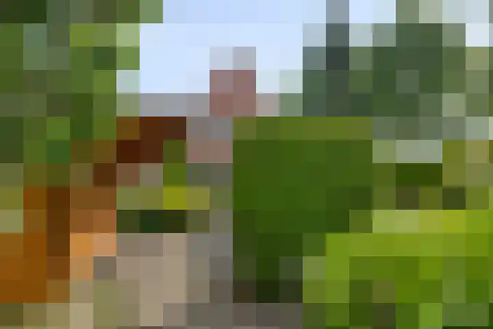 Buitensingel 1 Sappemeer thumbnail 31