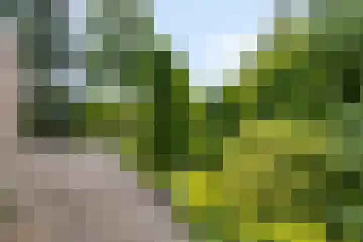 Buitensingel 1 Sappemeer thumbnail 32