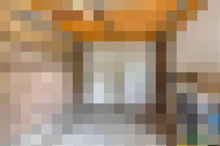 Buitensingel 1 Sappemeer thumbnail 33