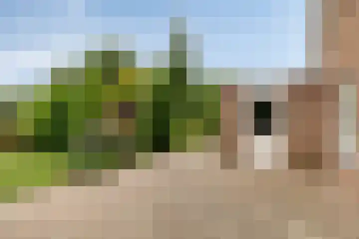 Buitensingel 1 Sappemeer thumbnail 34