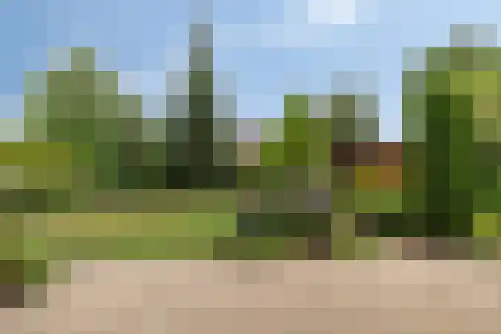 Buitensingel 1 Sappemeer thumbnail 37