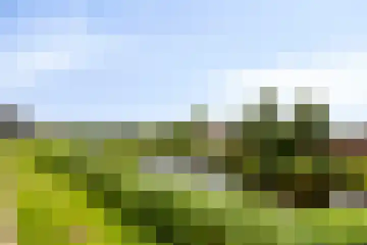 Buitensingel 1 Sappemeer thumbnail 45