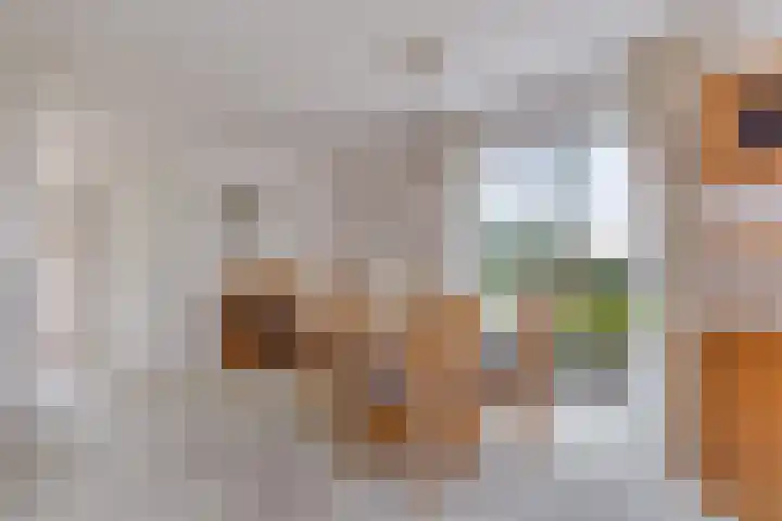 Buitensingel 1 Sappemeer thumbnail 8