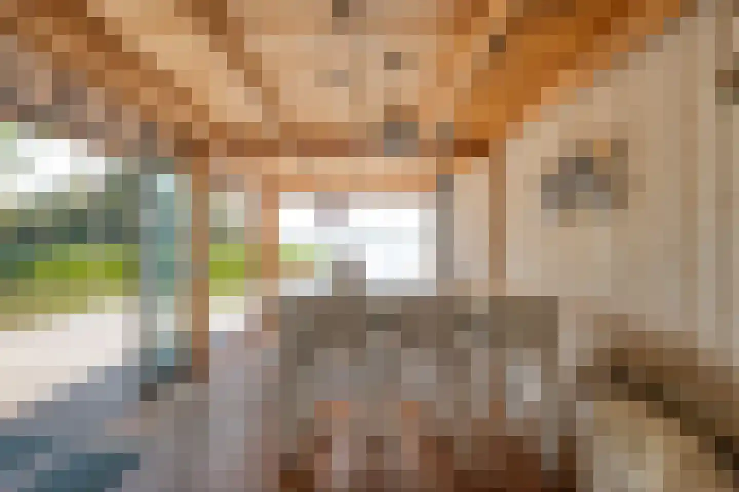Buitensingel 10 Steenwijk thumbnail 42