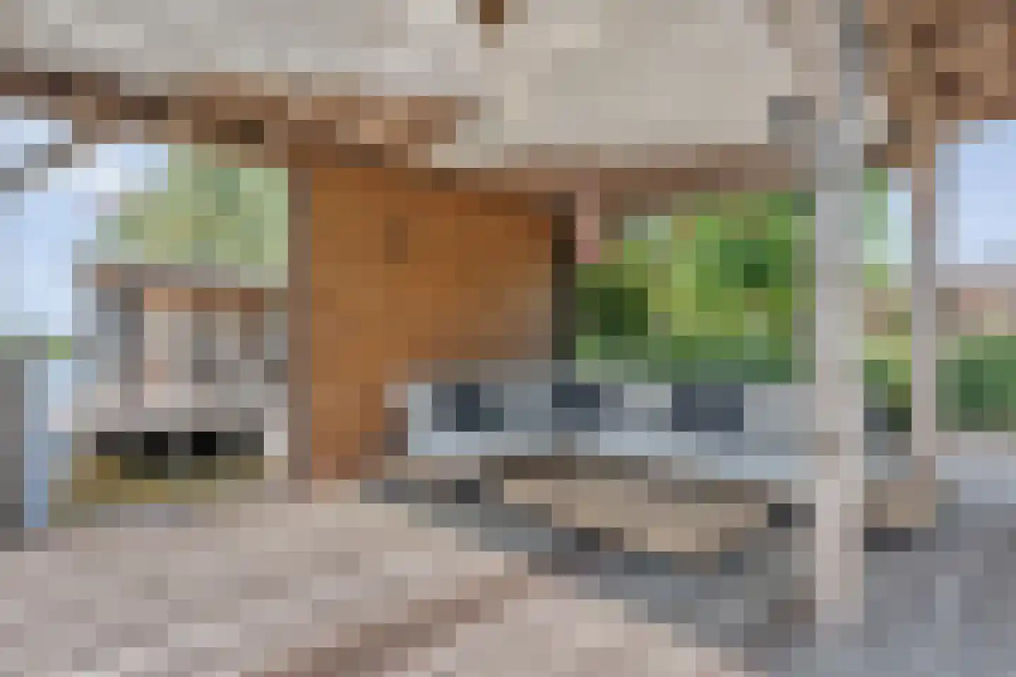 Buitensingel 10 Steenwijk thumbnail 50