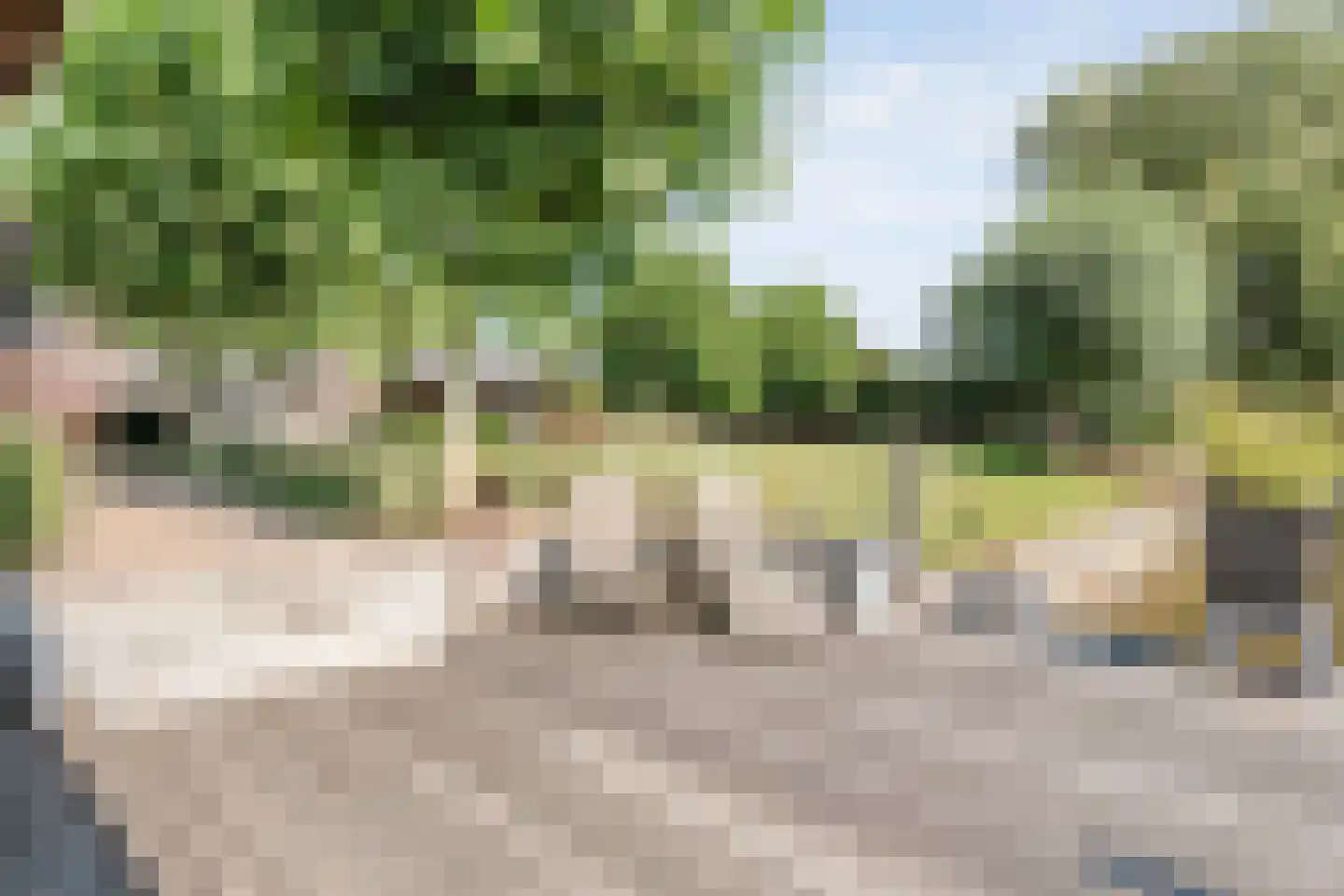 Buitensingel 10 Steenwijk thumbnail 53