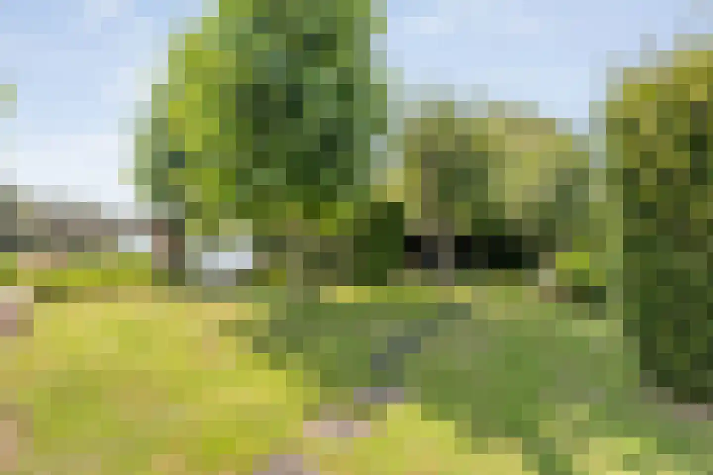 Buitensingel 10 Steenwijk thumbnail 56