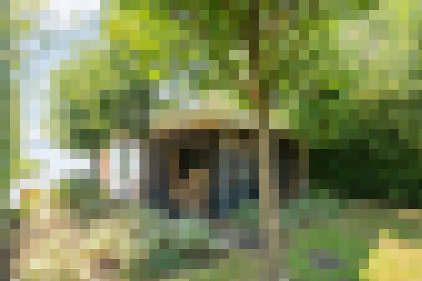 Buitensingel 10 Steenwijk thumbnail 57