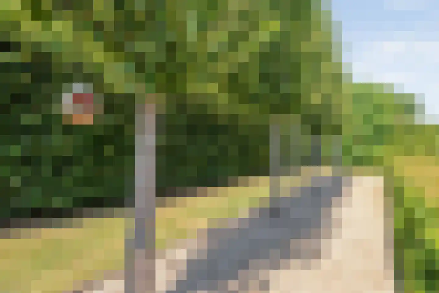 Buitensingel 10 Steenwijk thumbnail 58