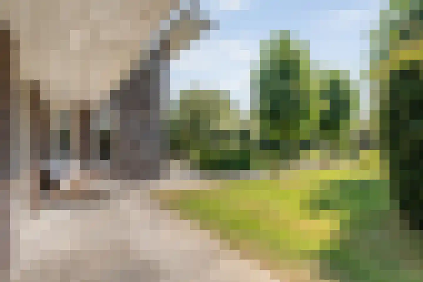 Buitensingel 10 Steenwijk thumbnail 66