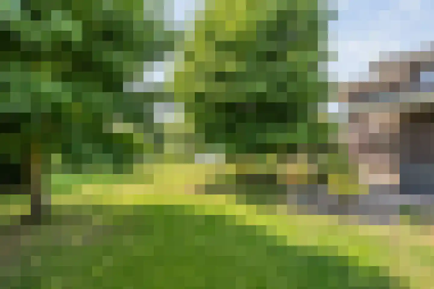 Buitensingel 10 Steenwijk thumbnail 67